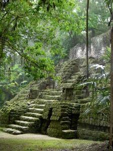 Downtown Tikal