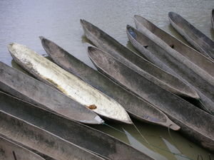 Canoes - Kiunga