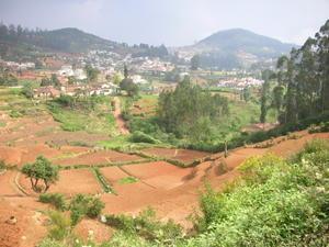 The hills around Ooty