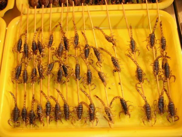 Scorpions on a stick, Donghuamen Night Market