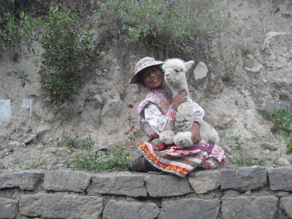 Little local with a little llama, Peru