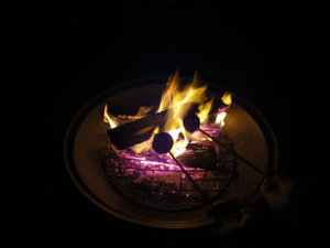 roasting marshmellows on the fire