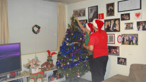 putting up the chrissie tree 2012