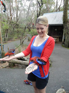 Feeding the birds...and I match them! Not even planned :)