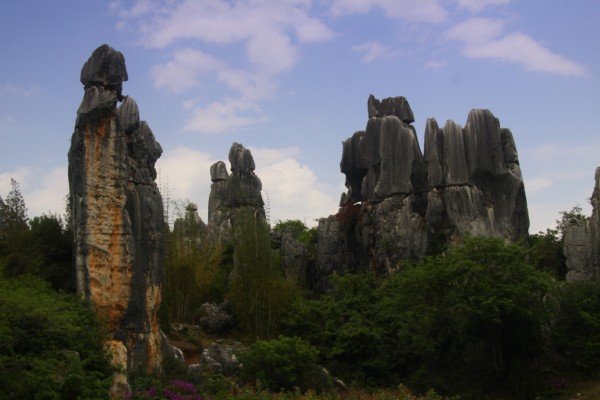 stone forest25 (600 x 400)