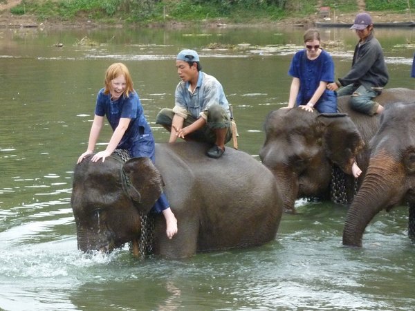 De lovede at være forsigtige med børnene. De glemte bare at fortælle elefanterne det...