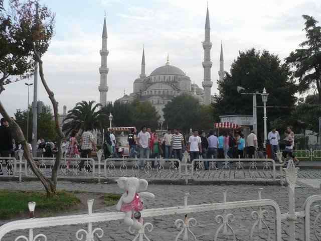 Nellie and the Blue Mosque