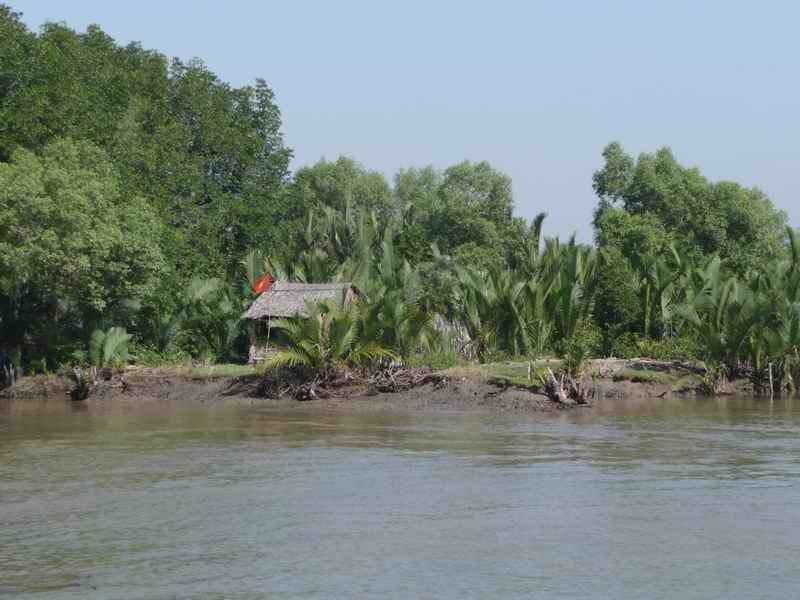 Rural Saigon River