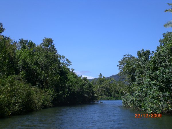 Daintree River I