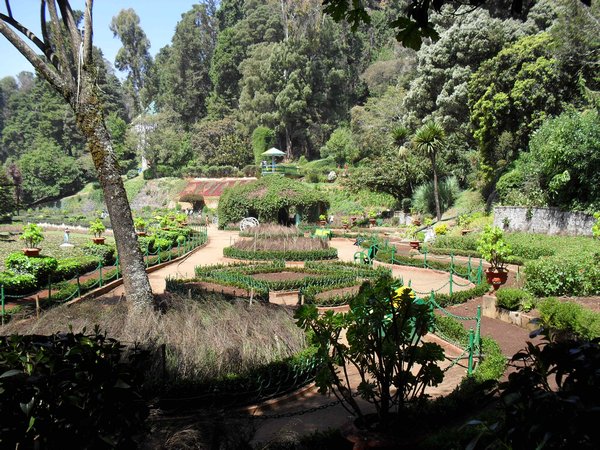 Botanical Gardens View