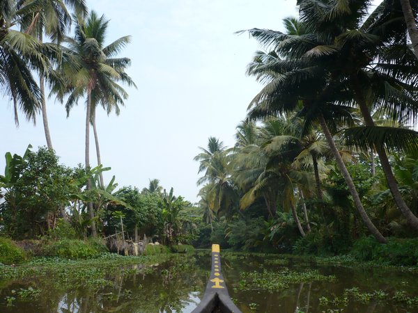 The backwaters 1