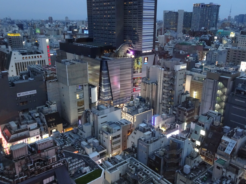Tokyo hotel view