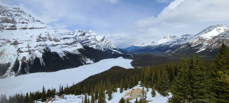 Peyto Lake from Bow Summit.  Snowy hike to get here