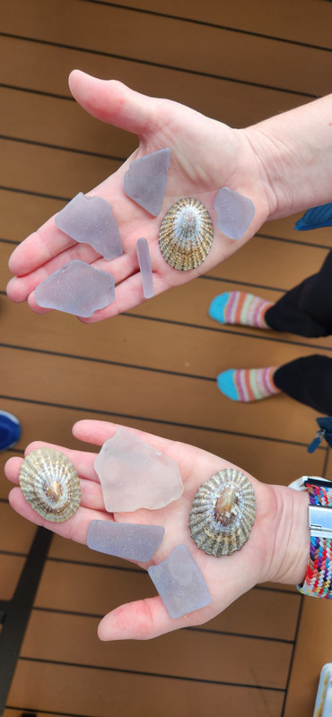 Beach Treasures from West Falkland