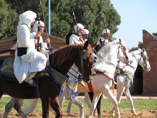 Berber Horse Racers