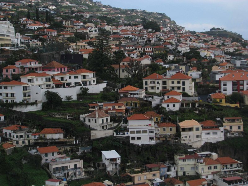 Cliffside homes of Funchal