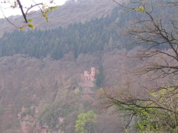 One of 3 Castles in Neckarsteinach