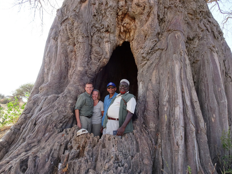 Inside a Baobab Tree
