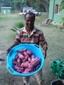 Seife with our first harvest of Tufa Sweet potatoe