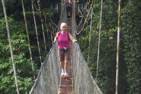 03. Forest canopy walk 480meters long