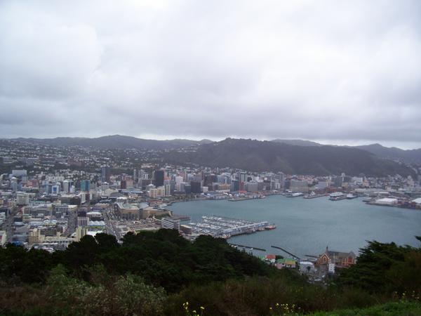 Wellington by the top Mount Victoria