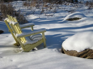 In the garden at -24C