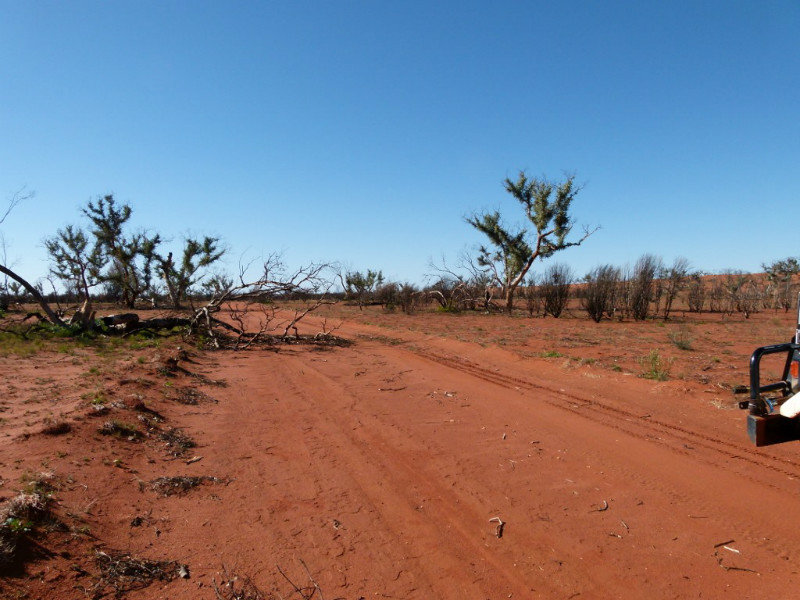 Typical desert landscape