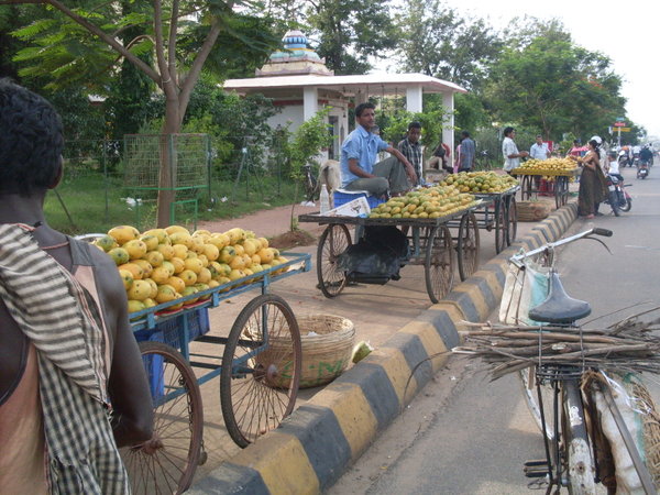 Bhubaneswar road side mangoes