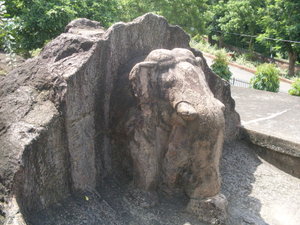 Elephant in the rock