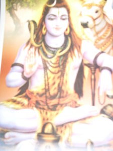 Shiva sitting