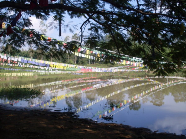 Flags across the lake