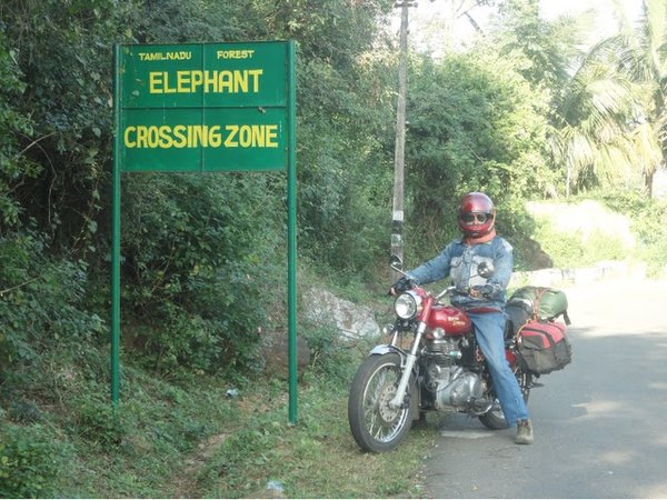 Watch out for elephants