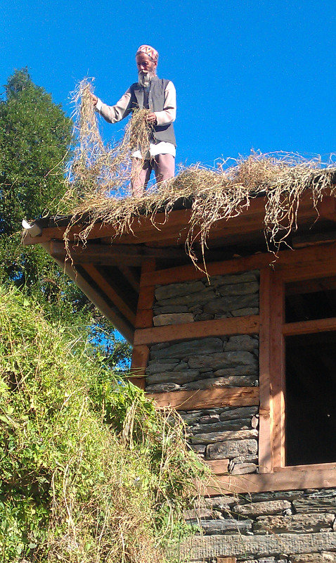 Drying grasses on roof
