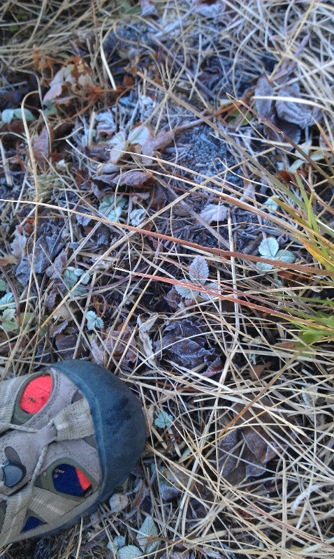 Frost on the ground