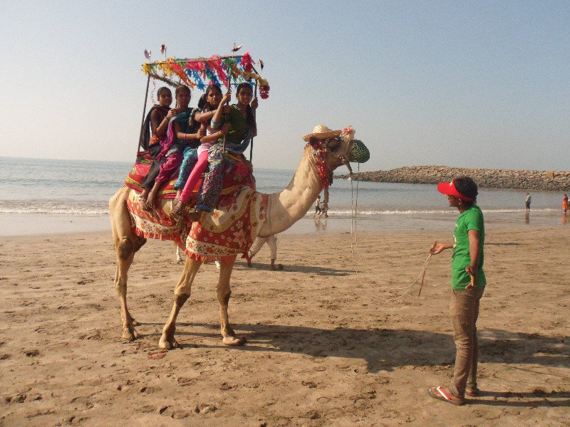 Camel tourism 