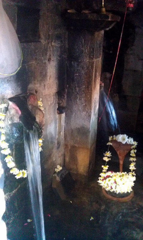 Under the canopy of the submerged Shiva temple 