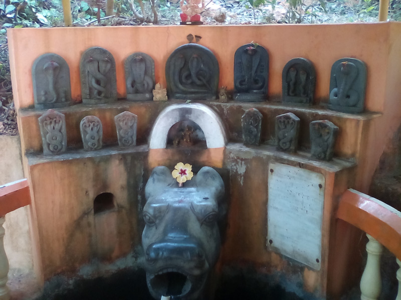 Spring water at the headland temple Gokarn