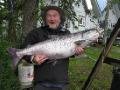 35 lb King Salmon