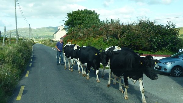 Rural Ireland 