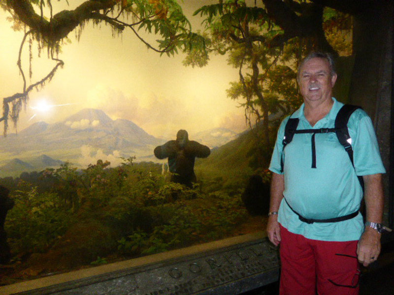 John with Gorilla exhibit