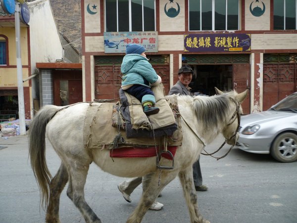 Tibetan baby on my horse