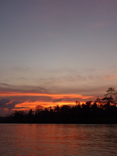 beautiful sunset over the kinabatangan