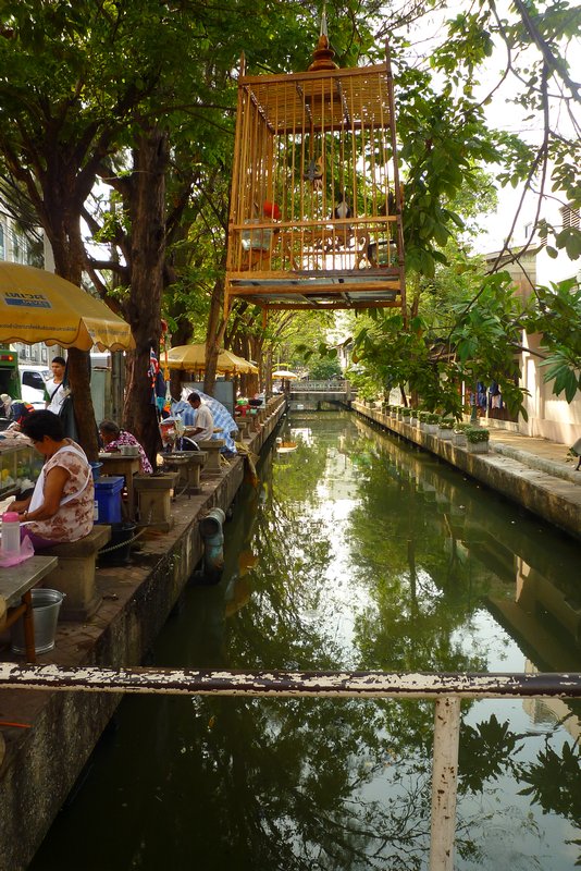 Beautiful canals in Bangkok 