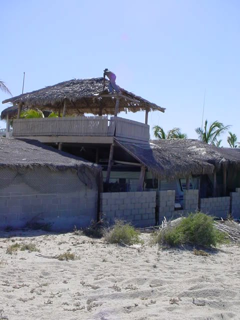 Palapa from the back side