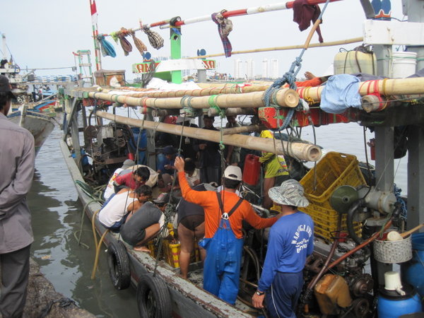 Unloading a fishing boat