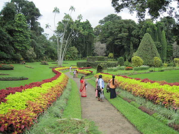 Sri Lanka: Botanical garden near Kandy