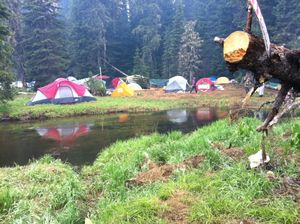 Tents by the river at Rainbow Gathering