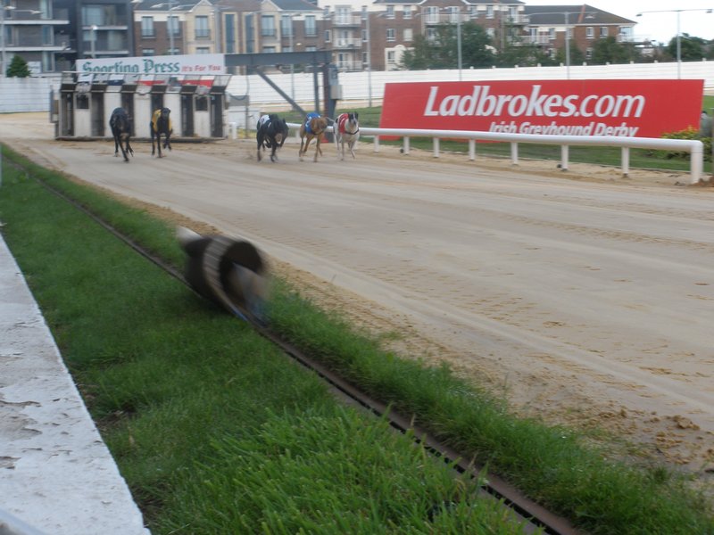 Greyhounds chasing a fake rabbit at the racetrack, Dublin