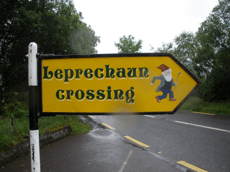 Leprechaun Crossing, Killarney National Park