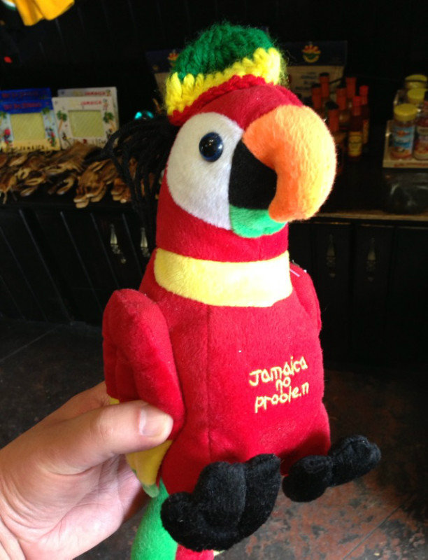 "Jamaica no problem" Rasta parrot. Famous slogan found, and heard, everywhere.